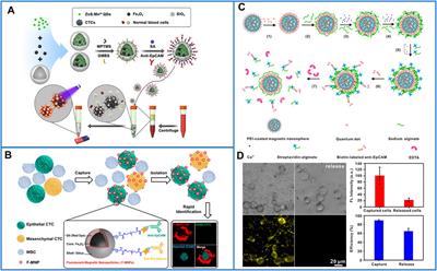 Nanomaterial-Based Immunocapture Platforms for the Recognition, Isolation, and Detection of Circulating Tumor Cells